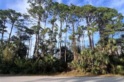 Land in Port Charlotte, Florida № 2162706 - photo 2