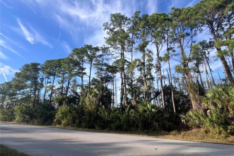 Land in Port Charlotte, Florida № 2162706 - photo 10