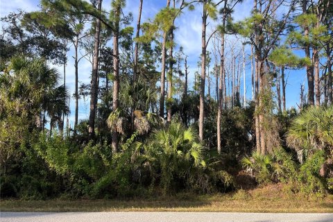 Land in Port Charlotte, Florida № 2162706 - photo 4