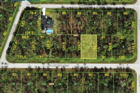 Land in Port Charlotte, Florida № 2162706 - photo 6