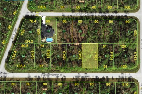 Land in Port Charlotte, Florida № 2162706 - photo 7