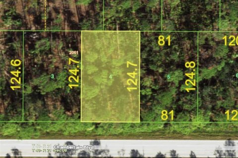 Land in Port Charlotte, Florida № 2162706 - photo 5