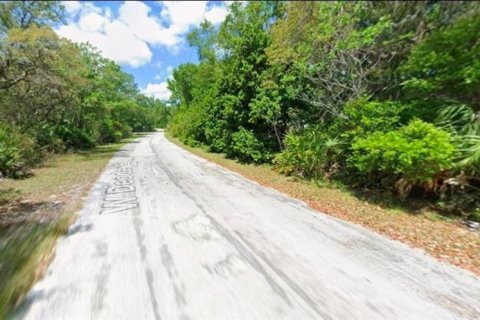 Terreno en Crystal River, Florida № 2218411
