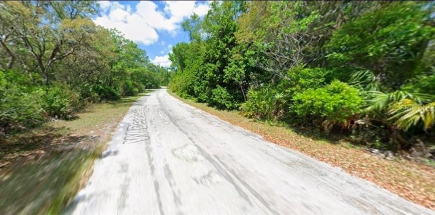 Terreno en Crystal River, Florida № 2218411