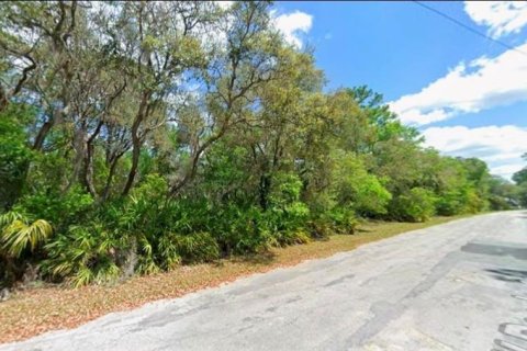 Terreno en venta en Crystal River, Florida № 2218411 - foto 4