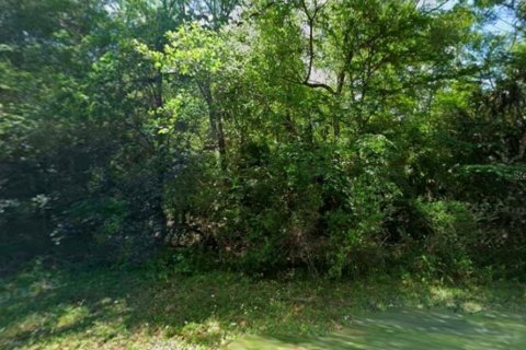 Terreno en venta en Crystal River, Florida № 2218411 - foto 3