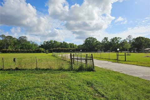 Immobilier commercial à louer à Tarpon Springs, Floride: 149.02 m2 № 1609145 - photo 5