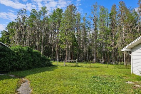 Immobilier commercial à louer à Tarpon Springs, Floride: 149.02 m2 № 1609145 - photo 10