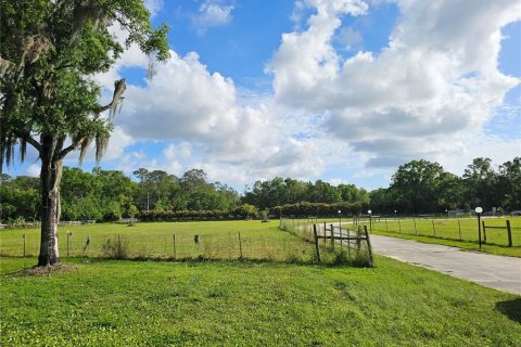 Immobilier commercial à louer à Tarpon Springs, Floride: 149.02 m2 № 1609145 - photo 3