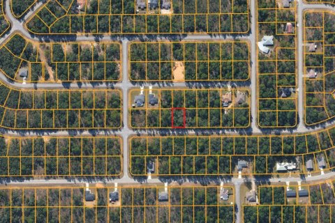 Land in Citrus Springs, Florida № 2378143 - photo 4