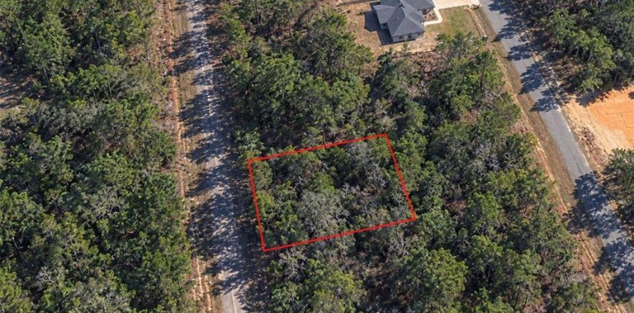 Land in Citrus Springs, Florida № 2378143