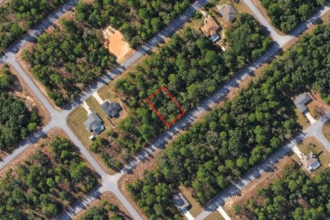 Land in Citrus Springs, Florida № 2378143 - photo 3