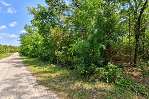 Land in Citrus Springs, Florida № 2378143 - photo 2