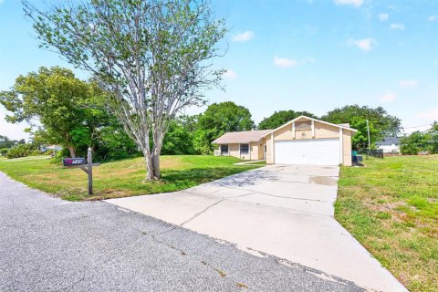 Villa ou maison à vendre à Deltona, Floride: 3 chambres, 123.19 m2 № 2341515 - photo 2