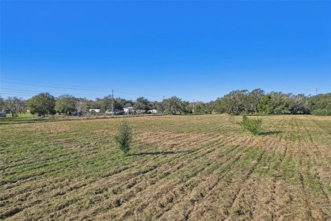 Commercial property in Lakeland, Florida № 2098633 - photo 3