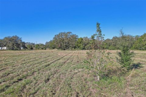 Commercial property in Lakeland, Florida № 2098633 - photo 4