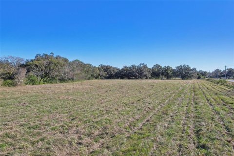 Commercial property in Lakeland, Florida № 2098633 - photo 5