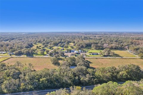 Commercial property in Lakeland, Florida № 2098633 - photo 6