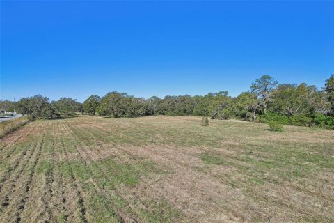 Commercial property in Lakeland, Florida № 2098633