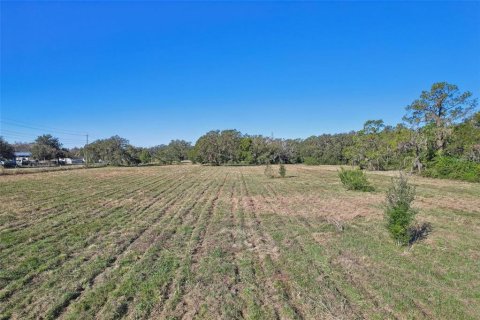 Commercial property in Lakeland, Florida № 2098633 - photo 2