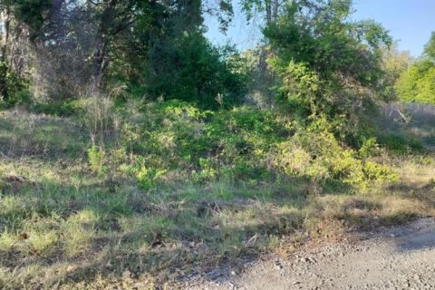 Land in Inverness, Florida № 2162481 - photo 15