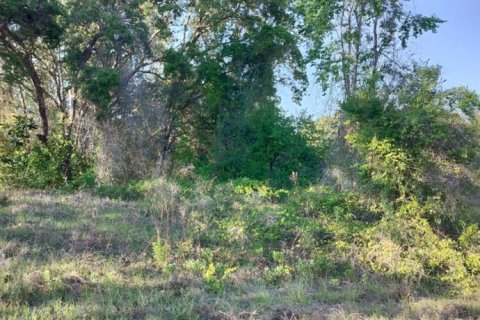 Land in Inverness, Florida № 2162481 - photo 14