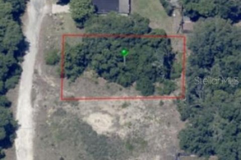 Land in Inverness, Florida № 2162481 - photo 2