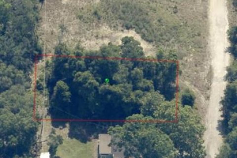 Land in Inverness, Florida № 2162481