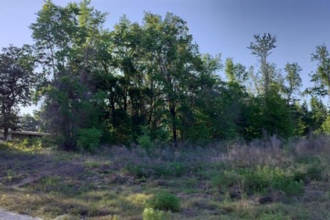 Land in Inverness, Florida № 2162481 - photo 6