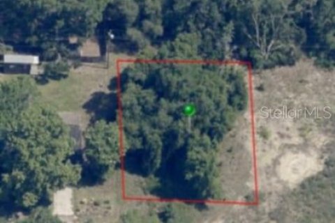 Land in Inverness, Florida № 2162481 - photo 3