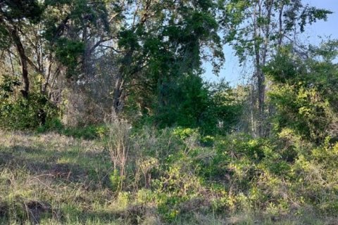 Land in Inverness, Florida № 2162481 - photo 16
