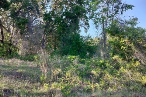 Land in Inverness, Florida № 2162481 - photo 11