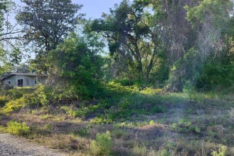 Land in Inverness, Florida № 2162481 - photo 9