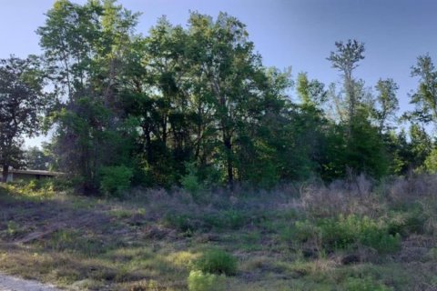 Land in Inverness, Florida № 2162481 - photo 12