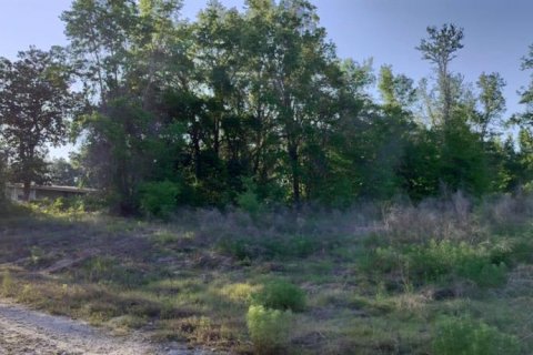 Land in Inverness, Florida № 2162481 - photo 7