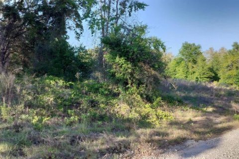 Land in Inverness, Florida № 2162481 - photo 17
