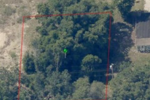Land in Inverness, Florida № 2162481 - photo 4