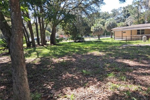 Land in Summerfield, Florida № 2366532