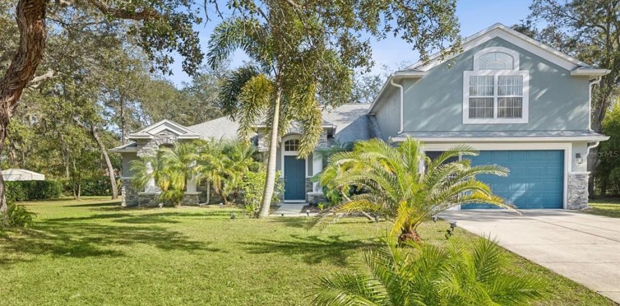 House in Spring Hill, Florida 4 bedrooms, 231.79 sq.m. № 1720832