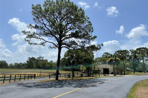 Land in Beverly Hills, Florida № 1788208 - photo 4