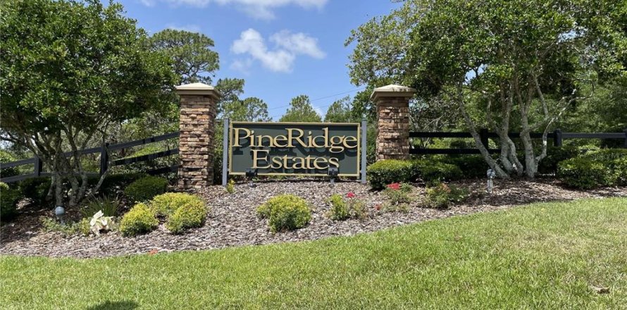 Land in Beverly Hills, Florida № 1788208