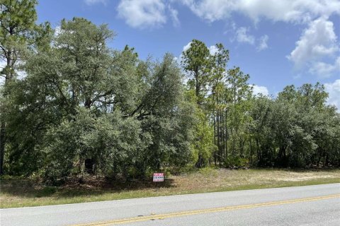 Land in Beverly Hills, Florida № 1788208 - photo 3