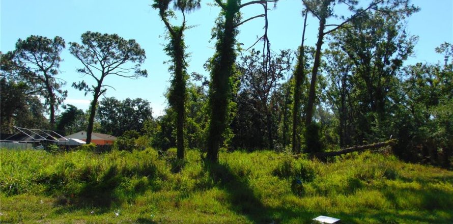 Land in Tampa, Florida № 1749624