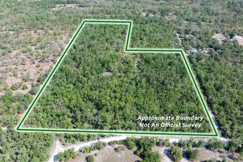 Casa en Branford, Florida 3 dormitorios, 188.5 m2 № 2101590