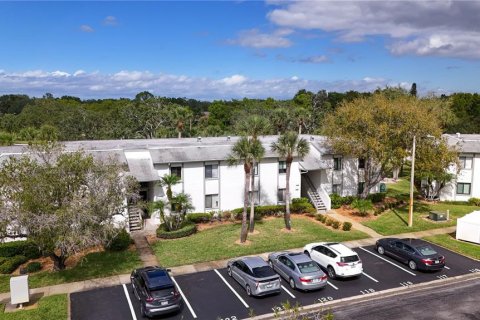 Condo in Oldsmar, Florida, 2 bedrooms  № 2202628 - photo 24