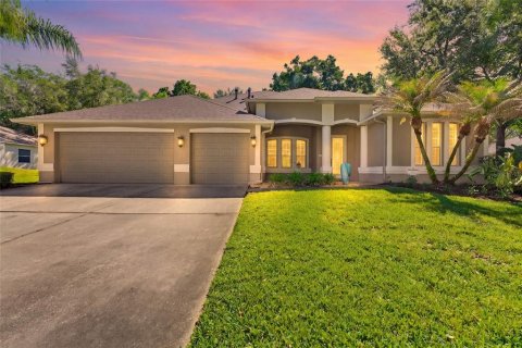 House in Brandon, Florida 4 bedrooms, 310.29 sq.m. № 2234334