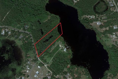Land in Paisley, Florida № 1263301 - photo 3