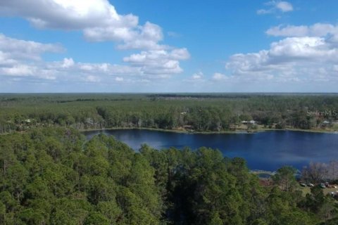 Land in Paisley, Florida № 1263301 - photo 1