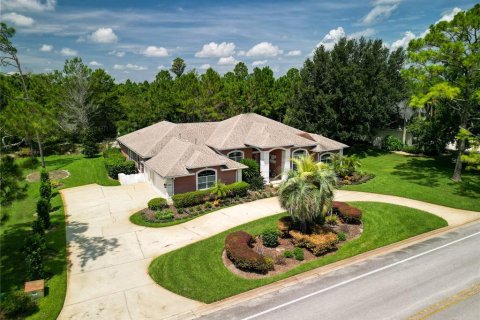 Villa ou maison à vendre à New Smyrna Beach, Floride: 3 chambres, 277.03 m2 № 2333816 - photo 3