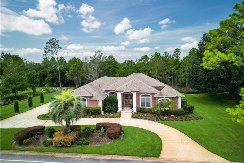 Villa ou maison à New Smyrna Beach, Floride 3 chambres, 277.03 m2 № 2333816